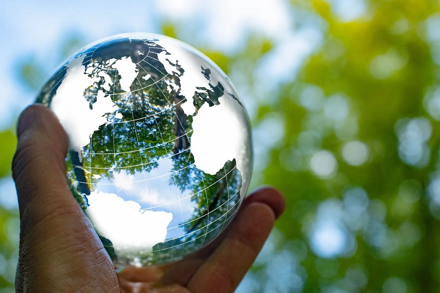 global_outlook